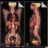 Featured Specialty: Hematology-Oncology
